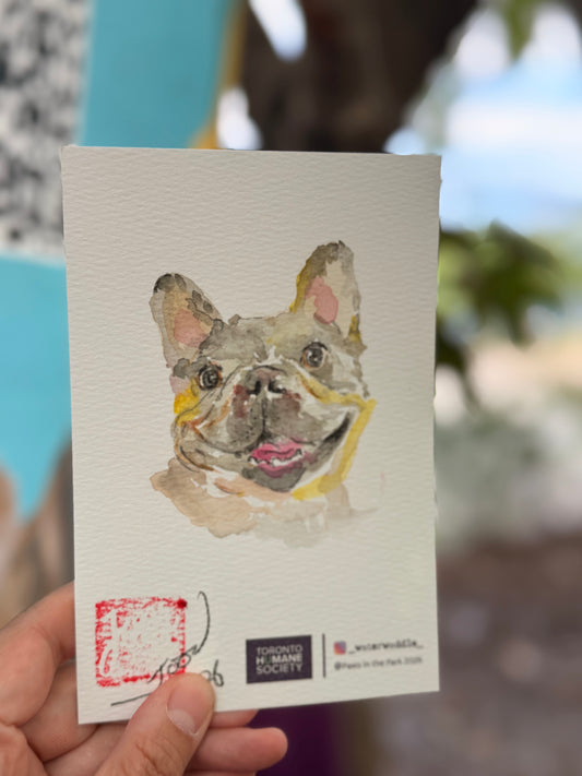 Live illustration