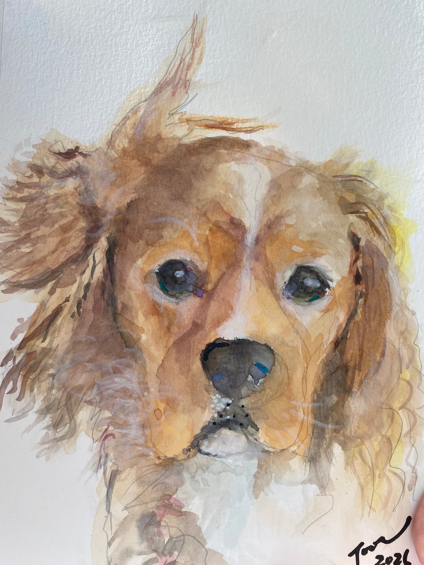 Customize Pet Portrait 30 x 40cm
