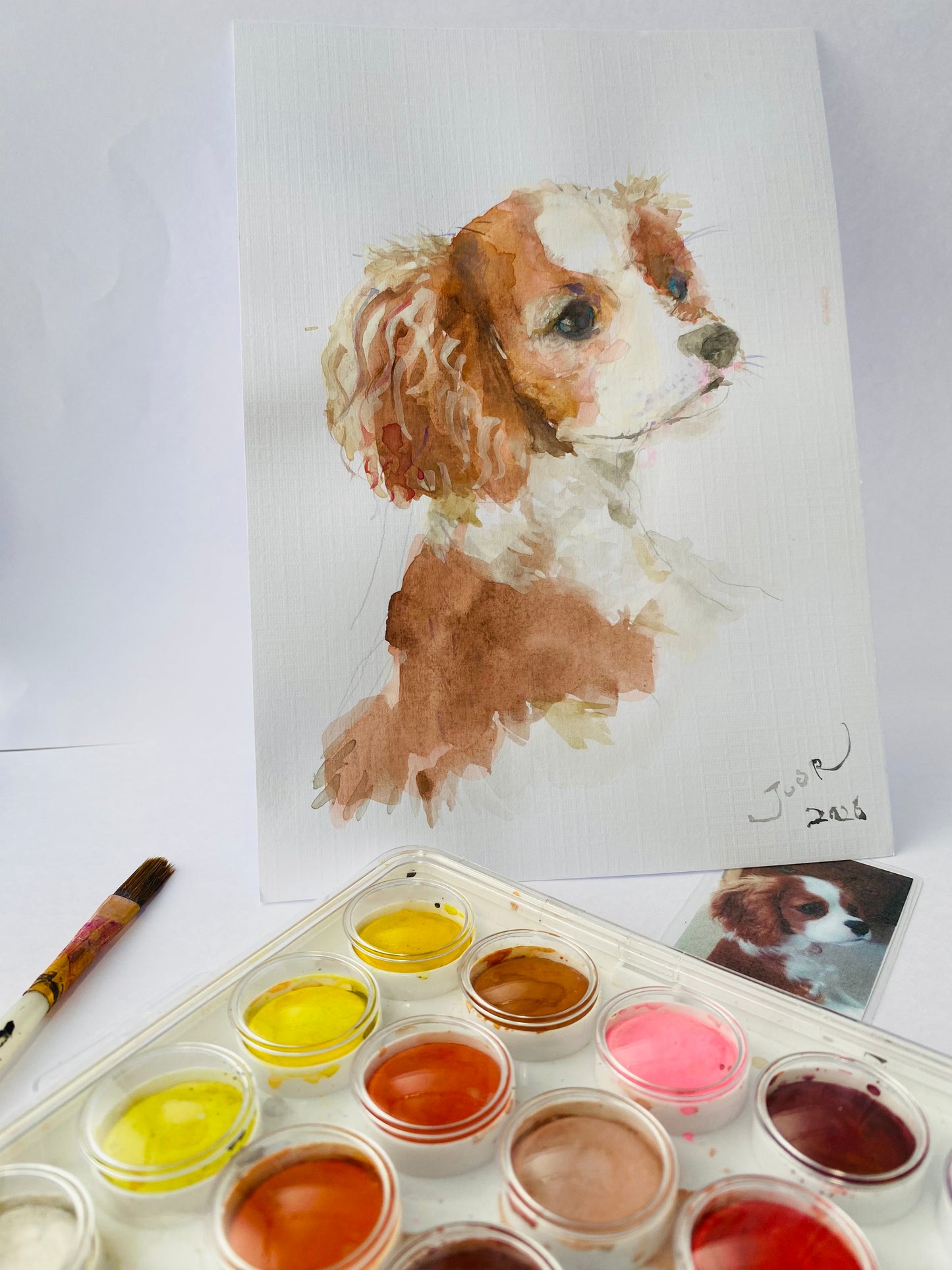 Customize Pet Portrait Mini Canvas Set