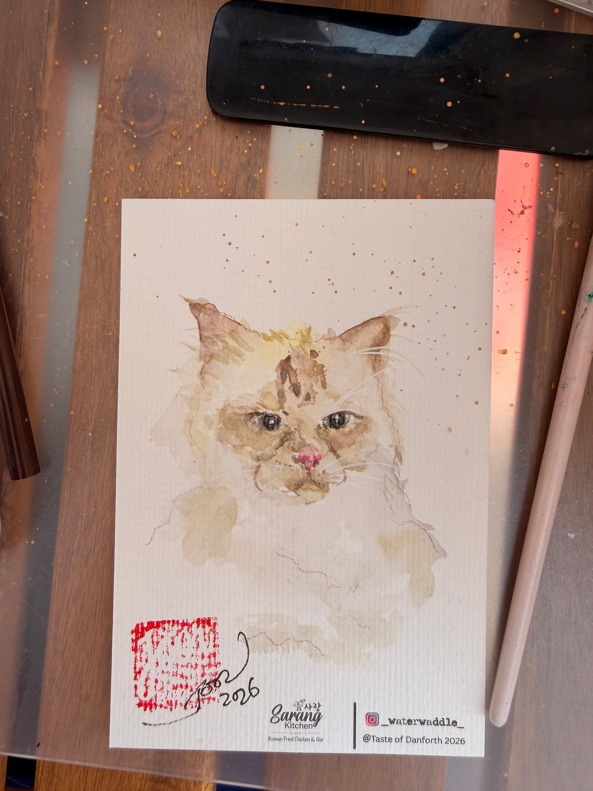 Live illustration