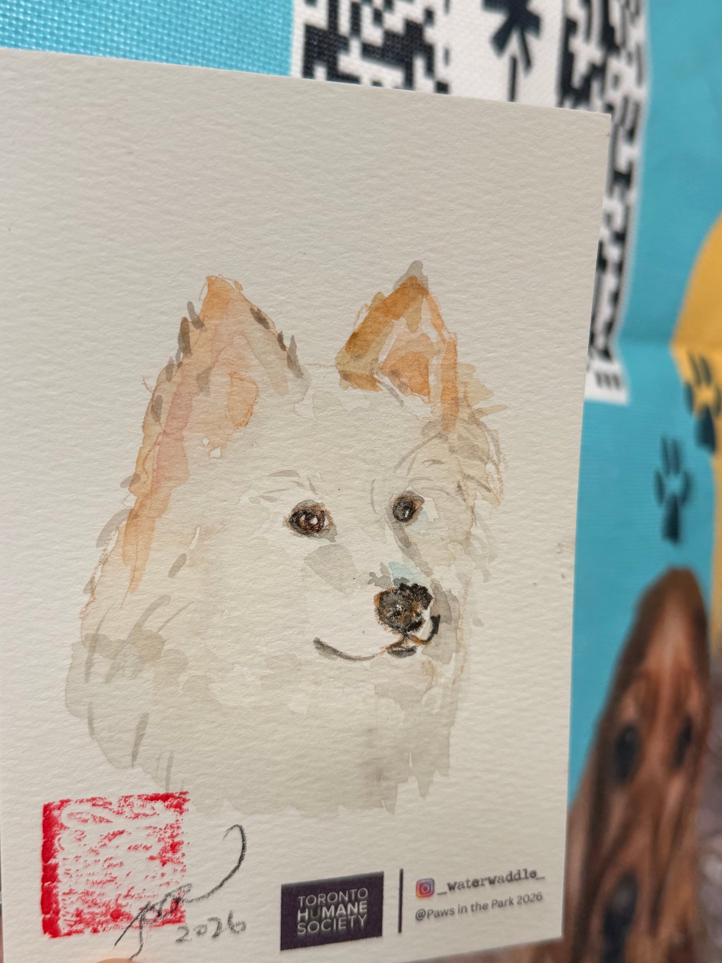 Live illustration